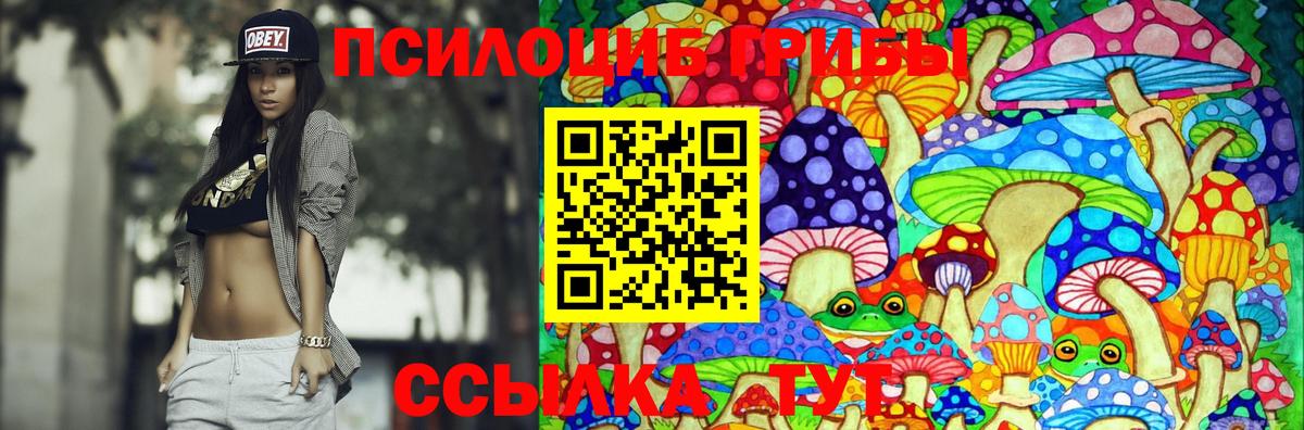 Галлюциногенные грибы MAGIC MUSHROOMS Черногорск